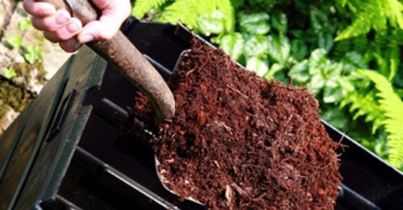 Kísérleti komposztkazánt építünk Tahitótfalun