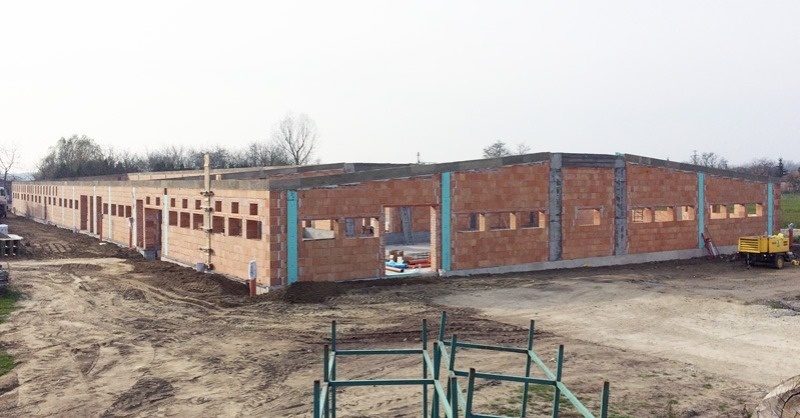 Egy sertéshízlalda esete a fagyapottal