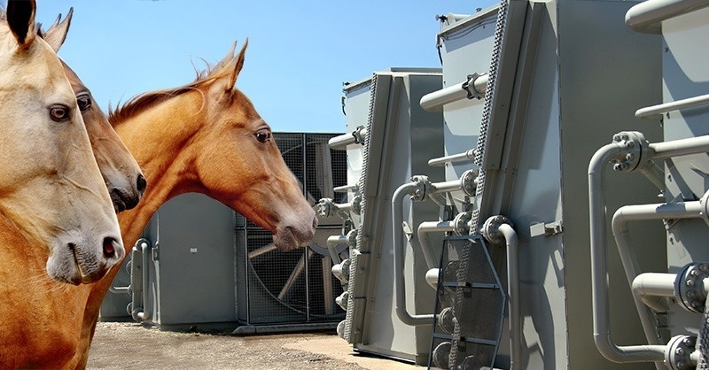 A ló hatása a hűtéstechnikára