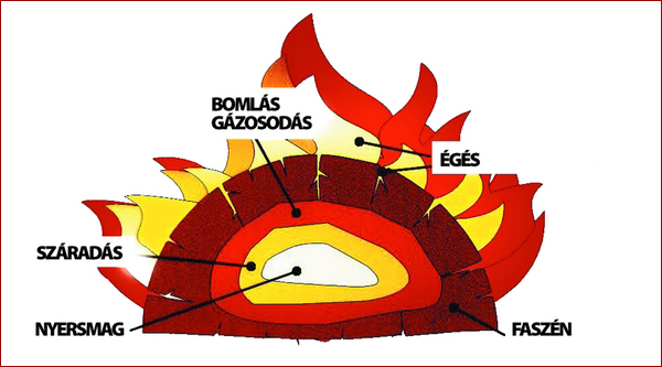 1. a tüzelés négy szakasza. Az első szakasz lényegében csak előkészület az égéshez. Ekkor a fa nedvességtartalma távozik, gőzzé válik. A második szakaszban a fát alkotó molekulák hő hatására átalakulnak, felbomlanak és meggyulladnak. A harmadik szakaszban együtt zajlik a fagázok (hidrogén, különböző szénhidrogének, szén-monoxid) lánggal történő égése, és a bomlás során keletkező faszén láng nélküli izzása. Az utolsó szakasz a kiégés, a teljes oxidáció.