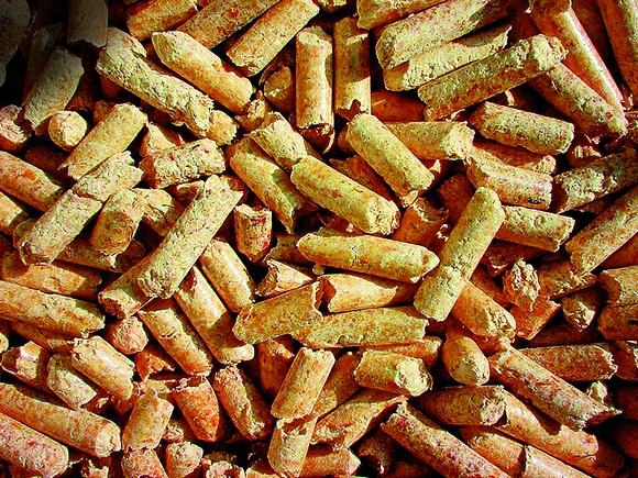 7. kép: Svájcban csak olyan fabrikett, fapellet fogadható el, melynek gyártásánál felhasznált segédanyagok emissziós tulajdonságai nem rosszabbak a gyártás alapanyagául szolgáló fáénál.