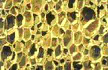 Egyenletes, zárt sejtstruktúra